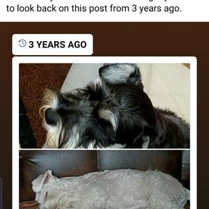 Meet your Posher, Robin